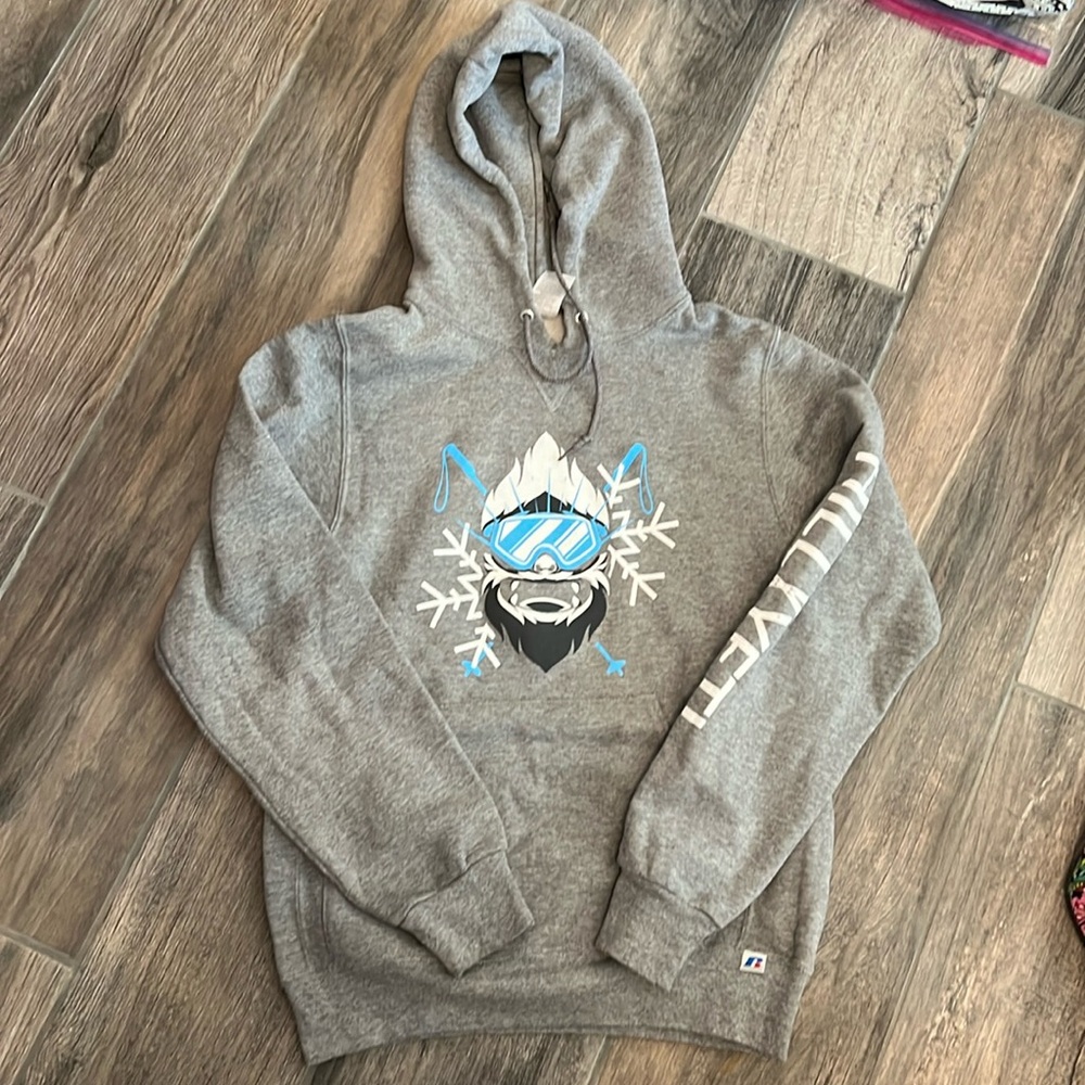 Gray hooded sweatshirt size small brand Russell